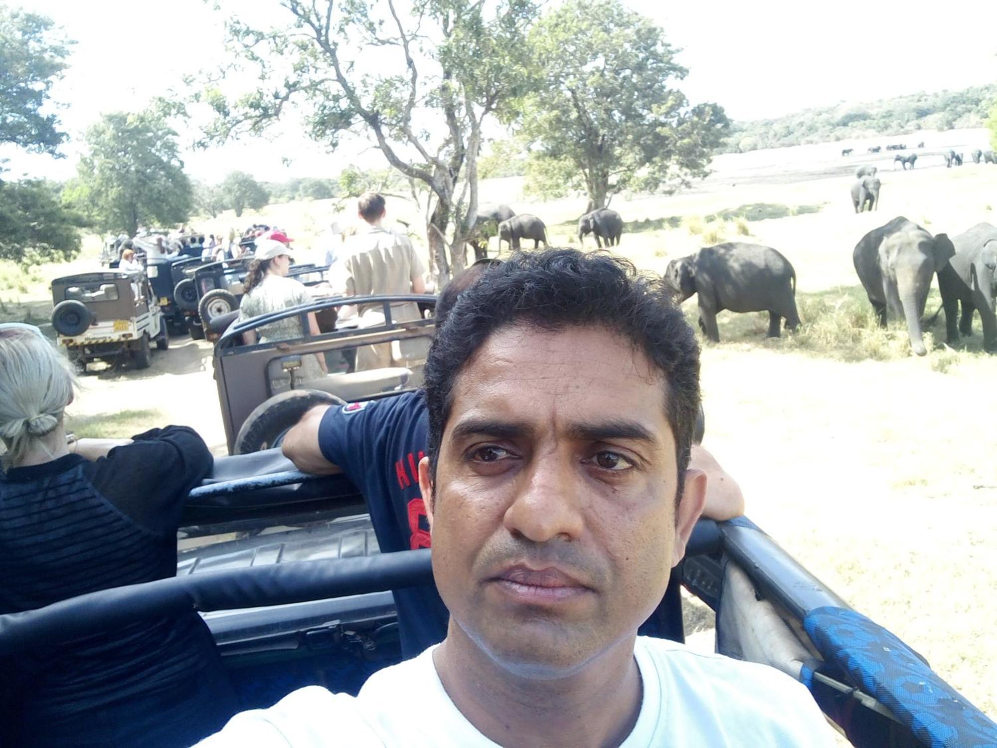 Sigiri Siesta Homestay Sigiriya Dış mekan fotoğraf